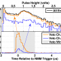 nmm_veto_correlations_v1.png